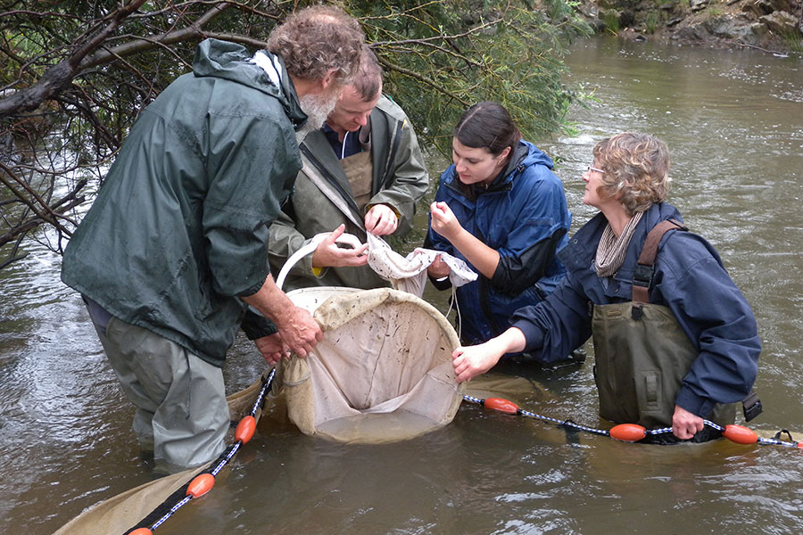 Citizen Science