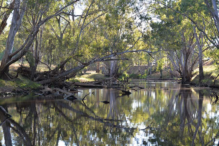 Instream Habitat