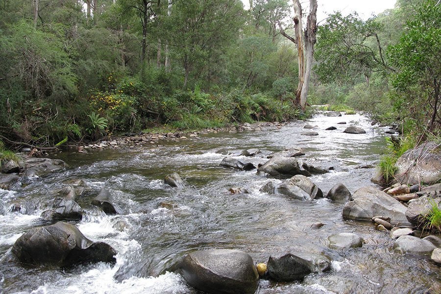 Water for the Environment