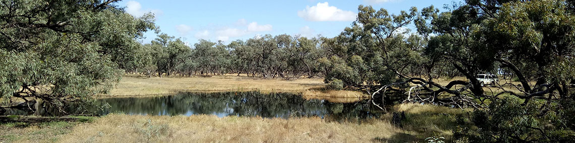 Wetlands and Floodplains