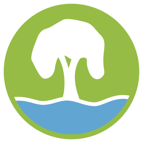 Tree icon